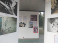 mostra-3