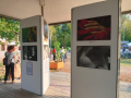 mostra-5